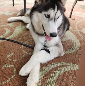 Meet your Posher, Sabrina